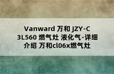 Vanward 万和 JZY-C3L560 燃气灶 液化气-详细介绍 万和cl06x燃气灶